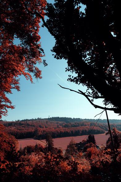 A Landscape in the colourscheme of old Infrared Film