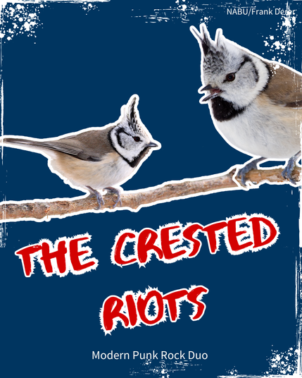 Zwei Haubenmeisen mit dem Bandnamen: The Crested Riots / Modern Punk Rock Duo