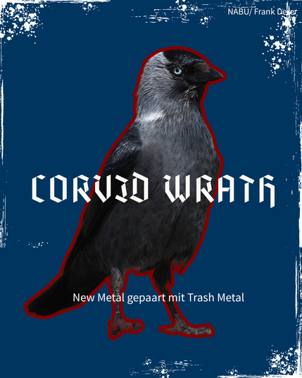 Eine Dohle mit dem Bandnamen: Corvid Wrath / New Metal gepaart mit Trash Metal
