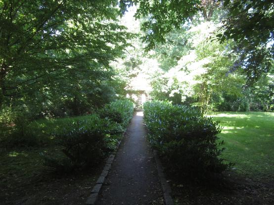 Motiv im Park Zuckelhausen