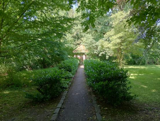 Motiv im Park Zuckelhausen