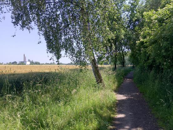 Motiv hinter dem Zuckelhausener Ring