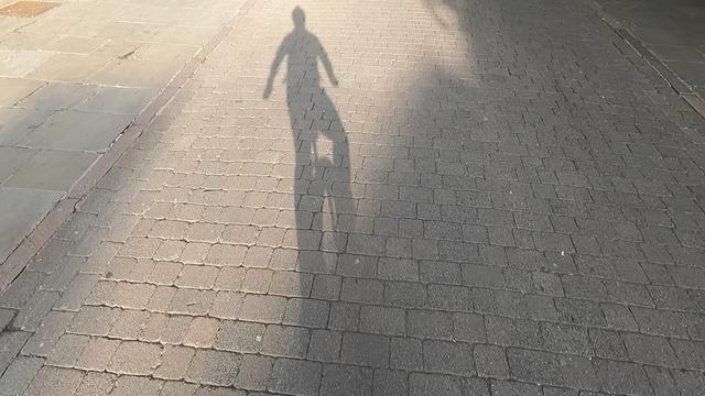 La ombro de la unuciklisto