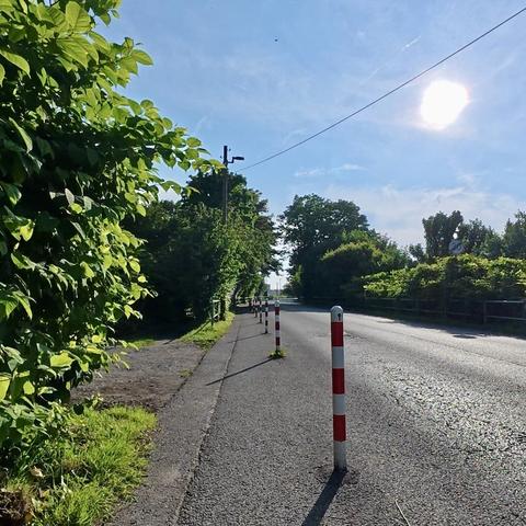 Gleissende Sonne über einer Aspahltstrasse, gesäumt von Bäumen und Büschen. Ein Rad-Fußweg ist mit rot-weissen Pollern abgegrenzt.