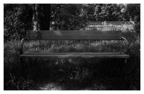 Black and white photograph of a bench standing in tall grass. The wall of Augarten Park can be seen in the background on the other side of the street.