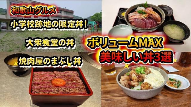 【和歌山グルメ】最近丼が美味しすぎたので美味しかった丼3選