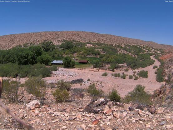 View of Tassi Ranch (Grand Canyon-Parashant National Monument) today, a sea of green in an otherwise dry and rocky Mojave Desert environment. Culturally and historically significant, remote and difficult to access, this NPS site documents that ever-important need to “organize around water.” Natural springs are found here, surrounded by rocks and creosote, cliffs and canyons. Above it all is a cloudless blue sky.