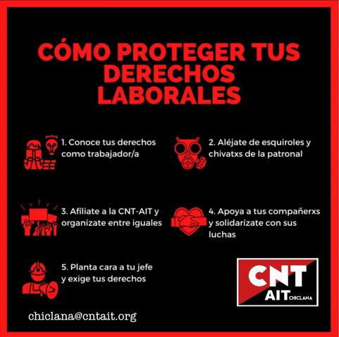 Estado español

Andalucía

CNT AIT Chiclana

¿Cómo proteger tus derechos laborales?

- Conoce tus derechos como trabajador o trabajadora.

- Aléjate de esquiroles y chivatos y chivatas de la Patronal.

- Afíliate a la CNT AIT, y organízate entre iguales.

- Apoya a tus compañeras y compañeros y solidarízate con sus luchas.

- Planta cara a tu jefe o jefa y exige tus derechos.

#derechoslaboralescntait
#sindicatodeclase #acciondirecta #federalismo
#apoyomutuo #anarcosindicalismocntait #cntait
#sindicatoanarquista #sindicalismocombativo
#AITEspaña #cntaitchiclana
-
                    https://www.instagram.com/p/DK0F_ulK4Iw/
