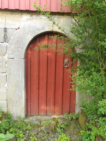 a reddish wooden door in a stone wall. the top of the door is round. there are plants growing between the paving stones indicating that this door isn't used very often. there is a bush growing right next to the door so there are some twigs growing right in front of the entrance.