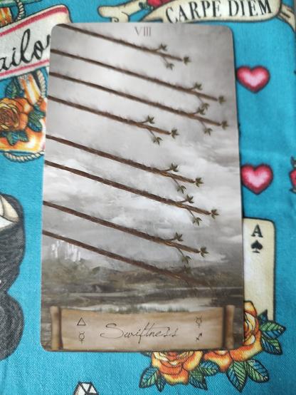 Card from the Heaven and Earth Tarot deck. 
Eight of Wands.
Eight large staves (wands) flying through the air.