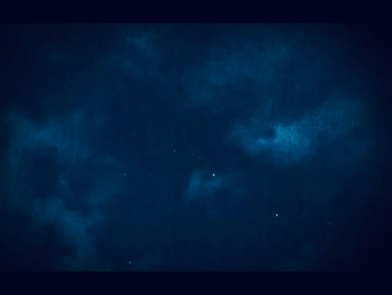 Austin, Texas // Montage of most anomalous objects captured in the month of May 2025 using Sionix Aurora night vision camera.