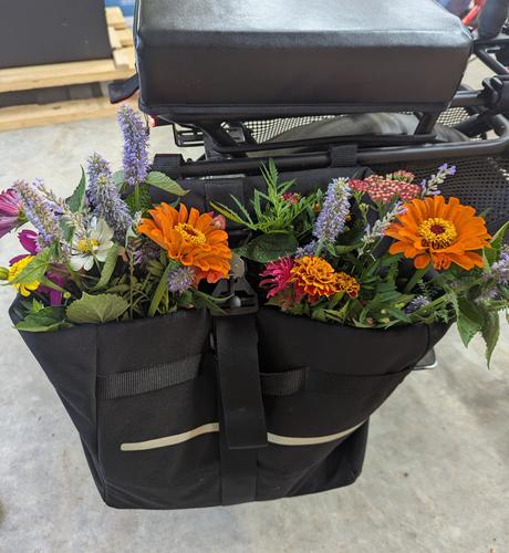 Photo of a black bicycle pannier stuffed full of purple, pink, and orange flowers