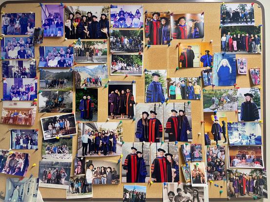 A cork board with a few dozen photos fastened with pins.  Many of the photos are of graduation ceremonies in PhD gowns ,  others of groups  in the outdoors, or on steps indoors.