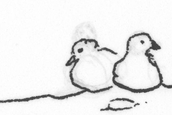 a black and white scan of a drawing of some doves sitting on a roof