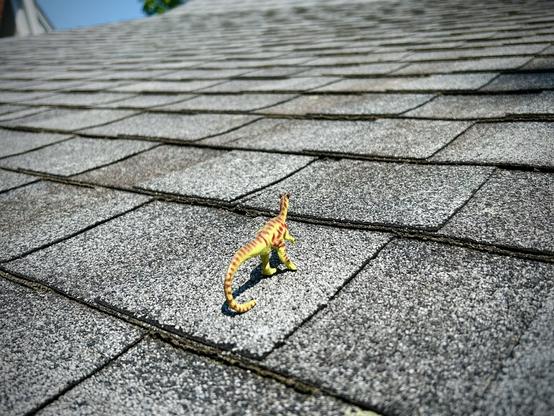 A green Dilophosaurus with brown spots stands on a plane of grey shingles as far as can be seen. In the upper left if a glimpse of blue sky and the white eaves of a neighbouring house.