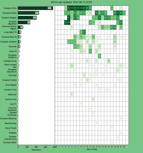 Today's top 20 bird chart