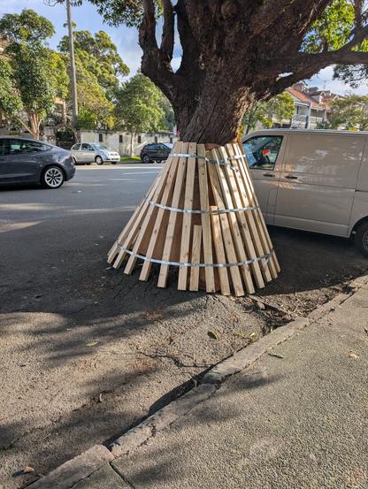 Whole lot of vertical bitter timber around a tree looking like a skirt
