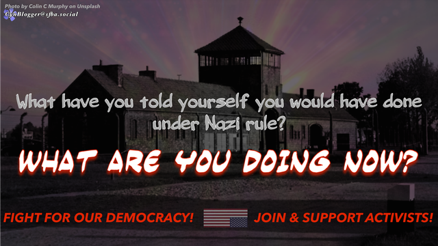 Meme: Dark grey background with a darkened photo of a Nazi death camp. Text in grey & white & red reads, “What have you told yourself you would have done under Nazi rule?  WHAT ARE YOU DOING NOW?  Fight for our democracy! Join & support activists!”