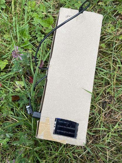 a bird (and bat) classifier in a long cardboard box with a screen against a grass background
