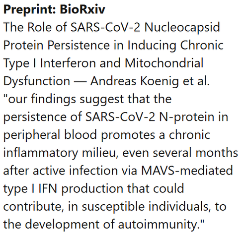 Preprint: BioRxiv
The Role of SARS-CoV-2 Nucleocapsid Protein Persistence in Inducing Chronic Type I Interferon and Mitochondrial Dysfunction — Andreas Koenig et al.
"our findings suggest that the persistence of SARS-CoV-2 N-protein in peripheral blood promotes a chronic inflammatory milieu, even several months after active infection via MAVS-mediated type I IFN production that could contribute, in susceptible individuals, to the development of autoimmunity."
