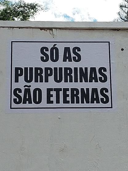 Um cartaz escrito "SÓ AS PURPURINAS SÃO ETERNAS" colado em um muro.