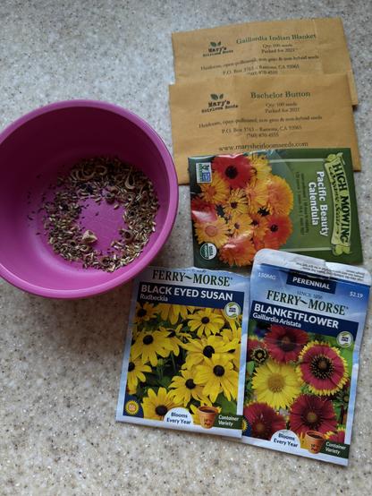 Blanket flower and black eyed Susan seeds from Ferry Morse, Pacific beauty Calendula from High Mowing, and Bachelor Button and Blanket Flower seeds from Mary’s Heirloom Seeds. Seeds are mixed in a small pink container.