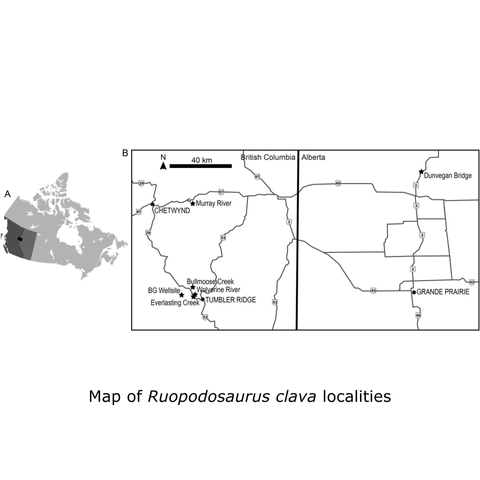 A map of the northern part of BC and Alberta, indicating where the Ruopodosaurus trackways were found. They are mostly clustered around Tumbler Ridge, BC, with one found near Dunvegan Bridge, AB.