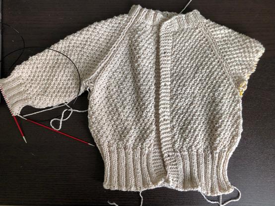 A knitting project - a toddler-sized cardigan sweater, with raglan shoulders and knit in a textured stitch pattern, is pictured on a dark wood surface. The yarn is an off-white, and there are many random yarn ends hanging out of the project which will need to be woven in.

The sweater has a left sleeve knit down to the cuff, which appears a bit too small for the arm size, and possibly a few rows too short. The circular knitting needle has red metal tips and a black string.