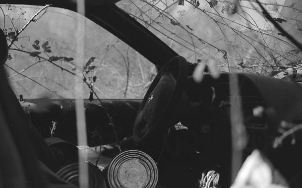 Black and white photography of the interior of an abandoned car. There are plants climbing all over the windows and tin cans on the driver seat.