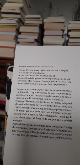 4ème de couverture du livre de Dorothée Letessier, " Le voyage à Paimpol ". L'imaginaire Gallimard.