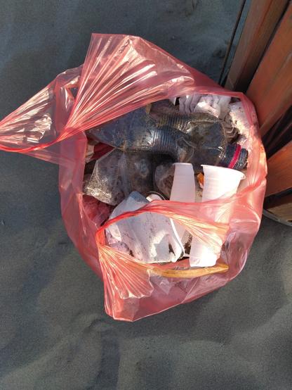 Plastiktüte.mit eingesammelten Müll vom Strandspaziergang