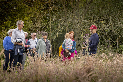 Voedselboskabouters in a foodforest