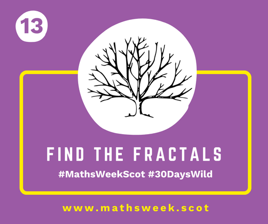 A colourful graphic with a purple background and a yellow frame. Overlapping the top of the frame is a white circle with a picture of a tree with bare branches. Inside the yellow frame are the words "Find the Fractals" and the hashtags #MathsWeekScot and #30DaysWild. Under the frame is the Maths Week website URL.