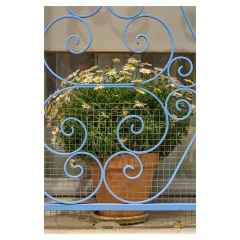 Closeup of a clay flower pot with daisies on a window sill. A thin wire grating has been attached in front of the flowers and a light blue, ornamented metal frame sits in front of the arrangement.
