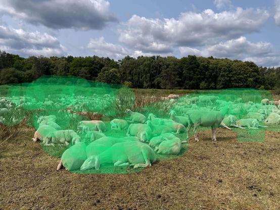 A flock of sheep resting in a grassy field, surrounded by trees and under a partly cloudy sky. Horribly painted green overlays on the sheep tint them in a green color.