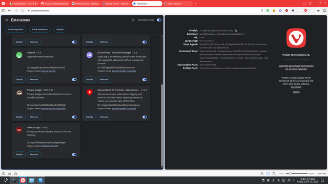 Screenshot shows I am using the lastest version of uBlock Origin with the last stable version of Vivaldi Browser.