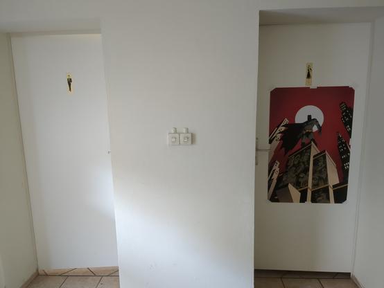 Photo of two white toilet room doors. The one on the right has a batman poster on it.