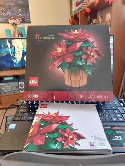 A box propped up on my laptop shows that it contains the Lego Poinsettia (a green plant in a brown pot with large red flowers). The instruction manual is lying across the keyboard.