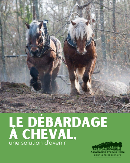 cheval