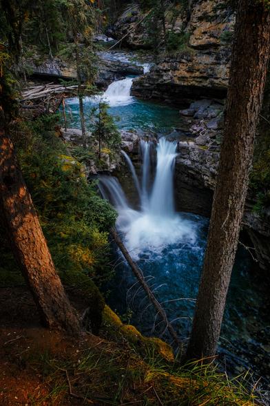 Sunrise sidelighting illuminates the coniferous forest that surrounds a mountain stream, small pools and low waterfalls in Johnston Canyon.  Banff national park, Alberta Canada