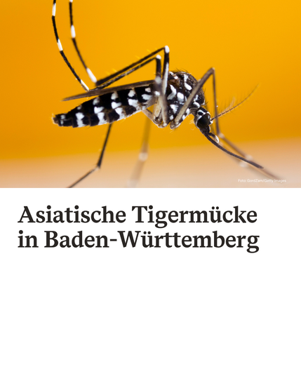 Asiatische Tigermücke mit Unterschrift Asiatische Tigermücke in Baden-Württemberg