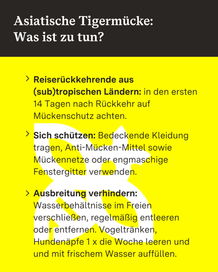 Tipps, was zu tun ist bei Asiatischen Tigermücken