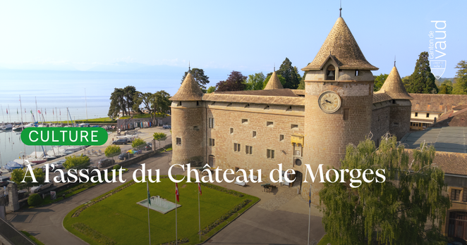 Vue du haut du château de Morges