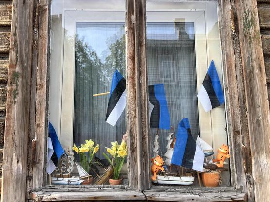 ## Beschreibung des Bildes

Das Bild zeigt ein Fenster eines alten, hölzernen Hauses. Der Fensterrahmen ist aus Holz und wirkt verwittert und alt. Im Inneren des Fensters sind mehrere kleine estnische Flaggen (blau-schwarz-weiß) aufgestellt. Außerdem stehen im Fensterbrett einige Dekorationsobjekte:

- Zwei kleine Modellsegelschiffe
- Zwei kleine Töpfe mit gelben Narzissen (Kunst- oder echte Blumen)
- Zwei orangefarbene Figuren, die wie Katzen aussehen und an Garfield erinnern
- Ein weiterer kleiner Blumentopf mit Stroh oder Heu

Im Hintergrund spiegelt sich die Umgebung im Glas, darunter Bäume und Teile eines Gebäudes. Das Fenster vermittelt einen liebevoll dekorierten, patriotischen und etwas nostalgischen Eindruck.
