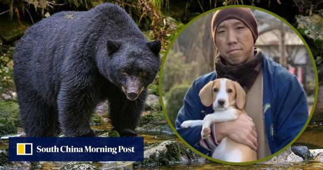 Japanese monk adopts abandoned dog deemed too noisy, later saved by canine from fierce bear
