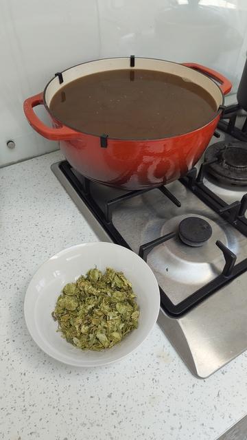 We have a close up of a kitchen hob with a large dark red pan holding brown liquid. Next to this is a bowl of dried green hops.