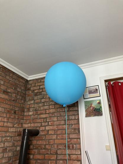Large blue balloon.