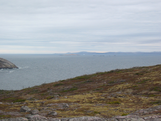 Photo from the French territore of Saint Pierre (foreground). In the distance on the other side of the strait is the coast of Newfoundland. Mid-strait is Green Island, in Canadian territory. To the right of Green Island are some rocky low islets. The accidental land border is on one of these.