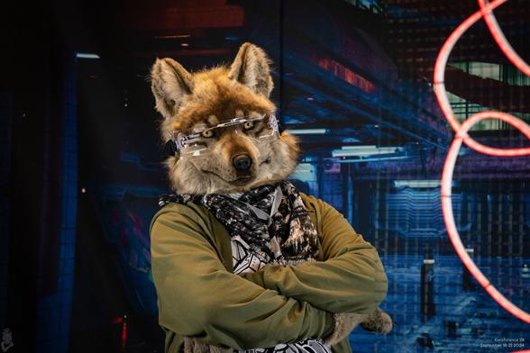 Photo of a realistic wolf fursuiter wearing a visor and crossing his arms, looking at the viewer