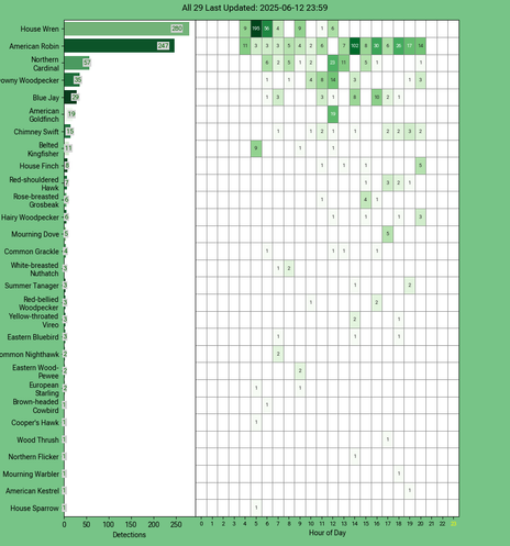 Chart generated by BirdNET-Pi with rows of all detected birds for Thursday, June 12, 2025 in decending order.  The first large column displays a bar chart of relative frequency; the 24 reamaining columns create cells with the bird count for each hour of the day shaded by relative count.